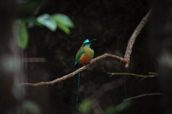 comment accélérer votre métabolisme pour brûler les graisses