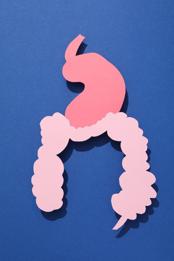 tout savoir sur les maladies inflammatoires de l'intestin : signes et traitements